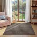 jinchan Solid Plush Area Rug 3x5 Performance Shaggy Washable Rug Indoor Soft Modern Faux Wool Cozy Non Slip Carpet for Living Room Kids Room Bedroom Dining Room Nursery Brown