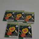 SCRATCH ART 5pcs
