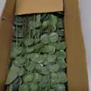 Eucalyptus Leaves Stems 60 PCS, 4 Kinds Mixed Artificial Greenery Stems for Wedding Decor Vase Floral Arrangement Centerpiece