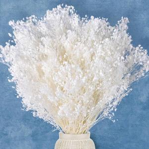 7000+ Ivory White Dried Baby's Breath Flowers Bulk - 17 inches 100% mini Natural Dried Flowers, Suitable for Wedding Decoration, Home Decoration, DIY Crafts, Wreath Flowers, DIY fillers