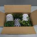 Winlyn 3-Pack Artificial Potted Plants - Faux Eucalyptus, Rosemary, Boxwood Greenery in Small Black & White Geometric Concrete Pots -Desk, Table, Shelf, Windowsill Decor for Indoor Outdoor Home Office