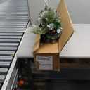 3 FT Battery-Operated Tabletop Holiday Decoration with 81 PVC and Pine Needles