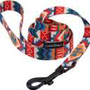 CollarDirect Nylon Dog Leash 5ft Tribal Pattern Durable Walking Pet Leashes for Dogs Small Medium Large Puppy (Pattern 3, S)