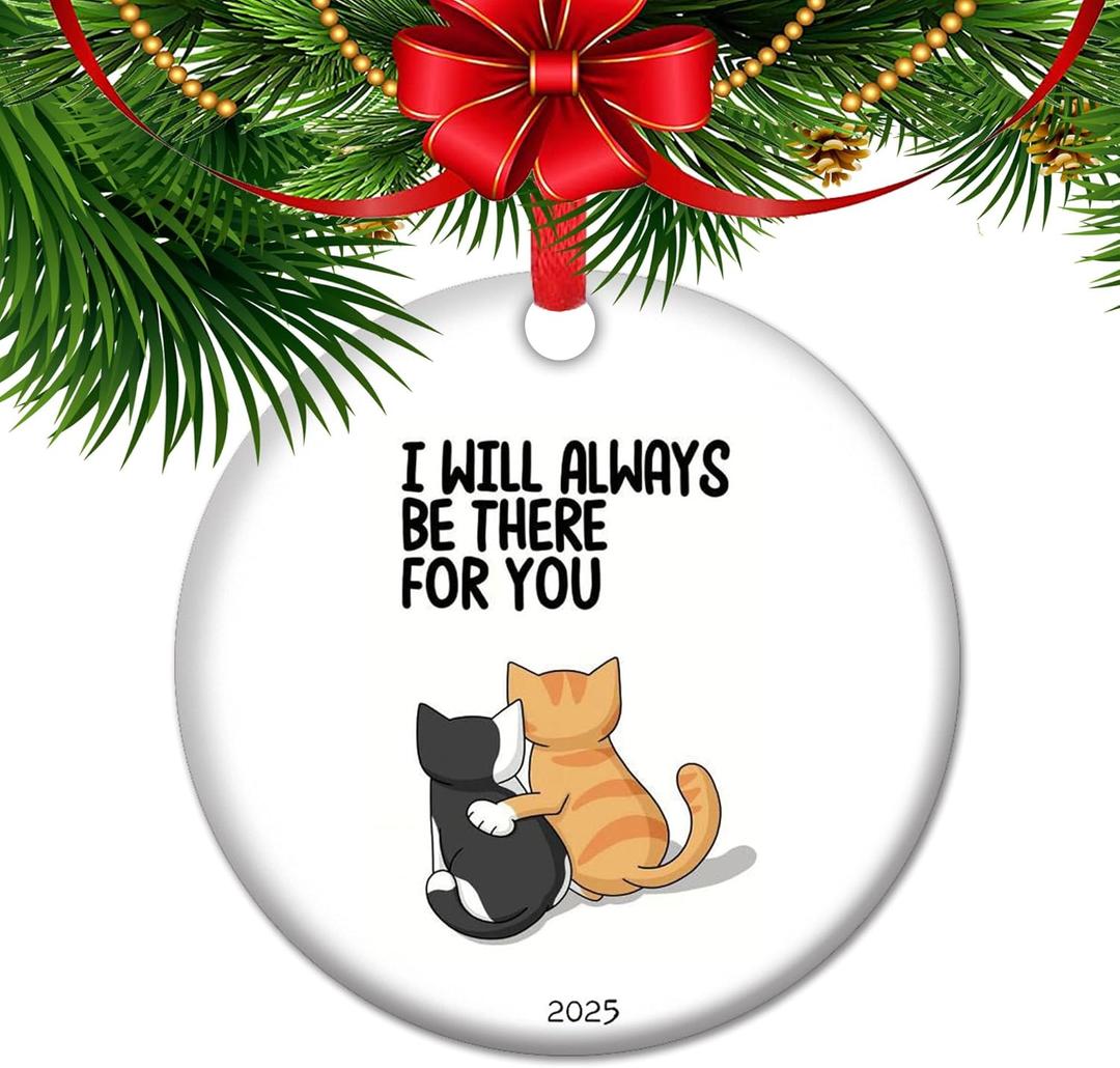 Ill Always Be There for You Cat Lover Ornament 2025 for Crazy Cat People | Matching BFF Holiday Keepsakes (V19)