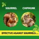 AUDQQM Squirrel Repellent, Outdoor Chipmunk Repellent, Mint Squirrel & Chipmunk Deterrent for Garden, Keep Squirrels Away from Yard, Lawn, Attic & Bird Feeders, Up to 90 Days Support-8 Pouches