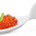 10Pcs Porcelain Tasting Spoons,Fish Shaped Caviar Sample Spoons for Tasting 3.9 x 1.6 x 1.2 inches Fish Shape Appetizer Plates,Dishwasher Safety,for Restaurant,Birthday Wedding Party,Cakes,Dessert