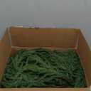 Christmas Decorations Artificial Norfolk Pine Garlands 6FT 4Pcs, Real Touch Winter Pine Garland, Green Artificial Greenery Garland for Table, Mantle, Wall, Indoor, Outdoor Decorations