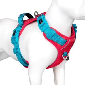 PHOEPET No Pull Dog Harness, Unique Colors Reflective Adjustable Dog Vest, with Soft Training Handle Metal Clips for Small Medium Large Dogs (Red Base & Teal Straps,L)