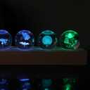 7 Pcs Flower Crystal Ball Night Light with LED Wooden Base, 3D Dandelion, Four-Leaf Clover, Mushroom, Rose, Tulip Plant Lamp for Home Office Gifts for Christmas Decor