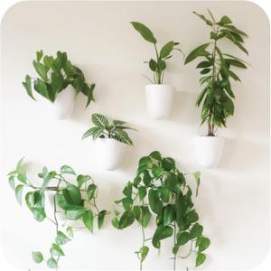 Make Good PlantPod Luxe - Self-Watering Wall Planters (Set of 6) - Easy to Water and Install - Lightweight - Design Your Own Vertical Garden - Wall Planters for Indoor Plants (White)