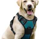 rabbitgoo Dog Harness No Pull with 2 Leash Clips, Adjustable Soft Padded, Reflective Oxford No Choke Pet Vest with Easy Control Handle for Large Dogs, Blue Coral, L