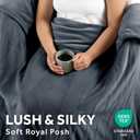 Sunbeam Royal Posh Velvet Heated Throw Electric Blanket, 50" x 60", 4 Heat Settings, 4-Hour Auto Shut-Off, Warming Throw for Couch, Fast Heating, Machine Washable, Warm and Cozy, Rain Storm Blue