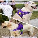 AUROTH Dog Harness and Leash Set, Soft Padded Service Dog Vest with 5.25FT Dog Leash, No Choke, Easy On Pet Vest, Adjustable Reflective No Pull Pet Vest Medium Sized Dog, Easy Walking and Training