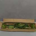 Hollyone 33" Green Artificial Mums Flowers Chrysanthemum Flowers 2Pcs Spider Mum Flower Arrangement Faux Pincushion Flower Faux Flowers with 3 Heads Long Stem for Centerpiece Bouquet Home Decor