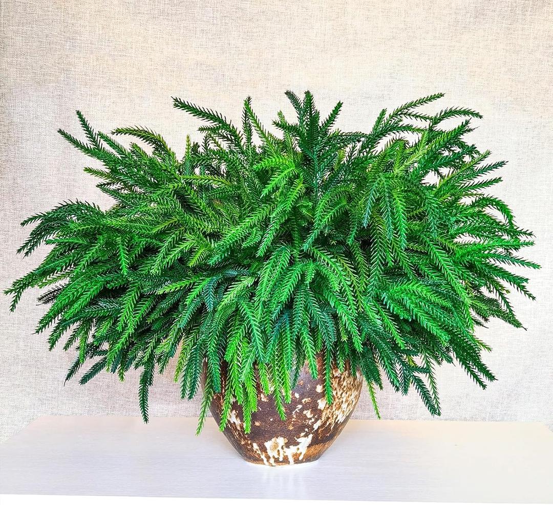 18Pcs Christmas Norfolk Pine Branches, 18 Inch Artificial Christmas Branches DIY Crafts Faux Norfolk Branches for Xmas Indoor Outdoor Home Decor