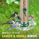 iBorn Bird Feeders Seed Catcher for Outside Hanging 6 Port Bird Feeder for Cardinal Birds Aluminium Metal,Green Finishing 14 Inch 6 Port (Seed is not Included)