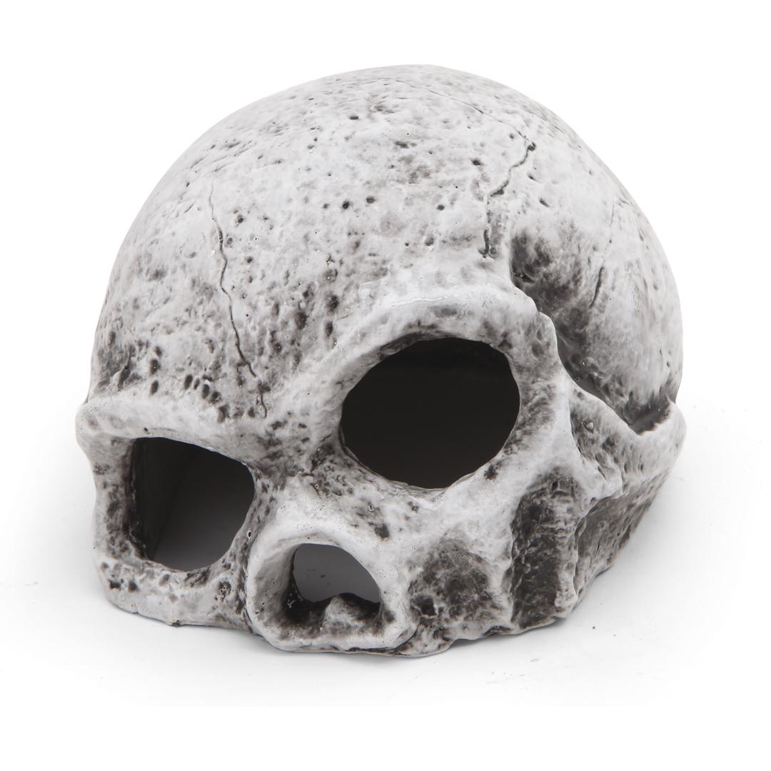 Ceramic Skull - Large