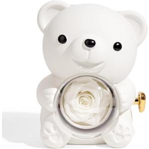 New Rose Hug Bear Jewelry Box Preserved Real Rose Gifts Eternal Rose Box for Mom,Girlfriend,Women,Wife,Valentine's Day,Mother's Day,Birthday,Anniversary
