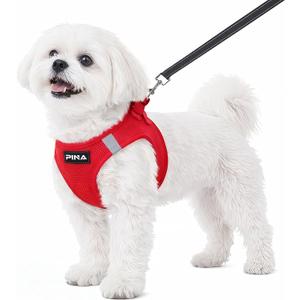 PINA Dog Harness for Small Dogs No Pull, Small Dog Harness and Leash Set, No Choke Breathable Mesh Dog Vest Harness, Lightweight Adjustable Small Medium Dog Harness - Easy to Put On and Take Off, Red (XS (Neck:10-11" , Chest:12-13"))