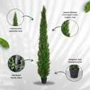 8 Feet Pre-Potted Evergreen Outdoor Artificial Cedar Tree for Front Porch Decor, Outdoor Entryway Decor Fake Tree, Tall Faux Tree with UV Resistant Coating (2 Pack)