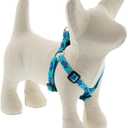 LupinePet Originals 1/2" Turtle Reef 12-18" Step in Harness for Small Dogs