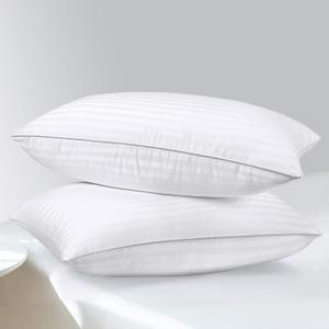 HOMELAB 2 Pack Standard Pillows for Sleeping - 100% Breathable Cotton Case, Soft Plush Down Alternative Filler, Medium to Soft Neck Support for Side Back and Stomach Sleepers, 20x26