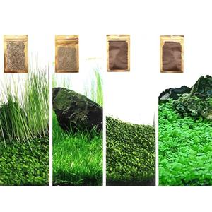 4 Bags Aquarium Plant S.e.e.ds, not Artificial Plastic Plant, Fish Tank Live Grass for All Substrate (0.36ozTiny+0.36oz Long+0.36oz Short+0.36oz Big Dual) ZQV-013