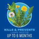 BioAdvanced 5-in-1 Weed and Feed Granules - Kills Lawn Weeds & Crabgrass - Feeds, Greens & Strengthens Lawn - Treats Up to 4,000 Square Feet - 9.6 lb Bag 