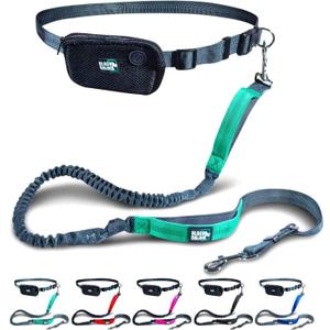 Black Rhino - Premium Hands Free Dog Leash for Running Walking Jogging & Hiking - Adjustable Length Dual Handle Bungee Leash Medium  Large Dogs Neoprene Padded Handles - Running Pouch Included Aqua (5 Feet)
