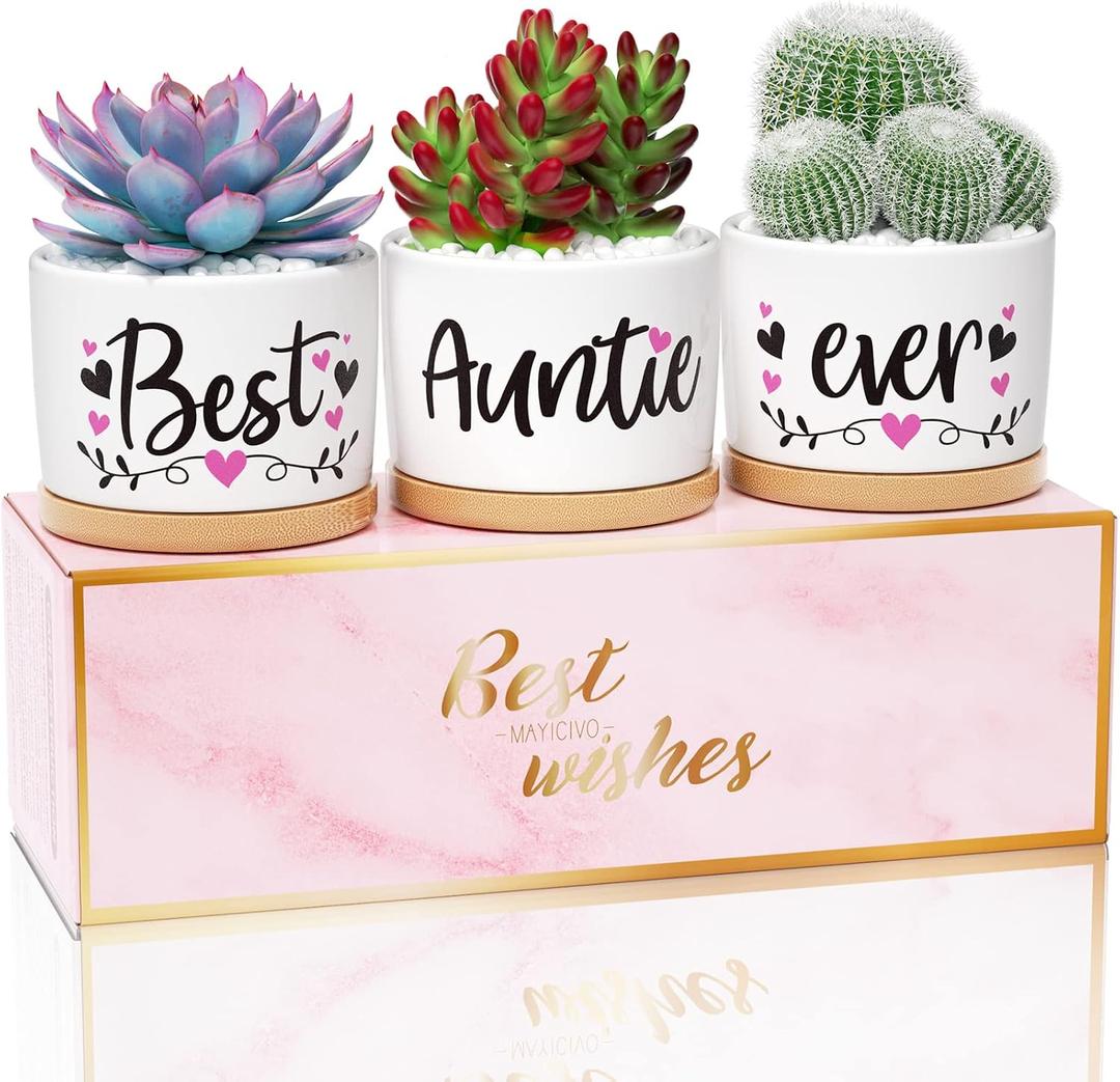 MAYICIVO Mothers Day Aunt Gifts from Niece Nephew, Best Gifts for Aunts Auntie, Unique Aunts Birthday Gift Auntie, Best Auntie Ever Succulent Pots for Plants Indoor Ceramic Planter