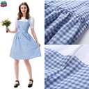 Women's Blue Gingham Costume, Storybook Character Dress Set for Halloween, Cosplay, and Themed Parties