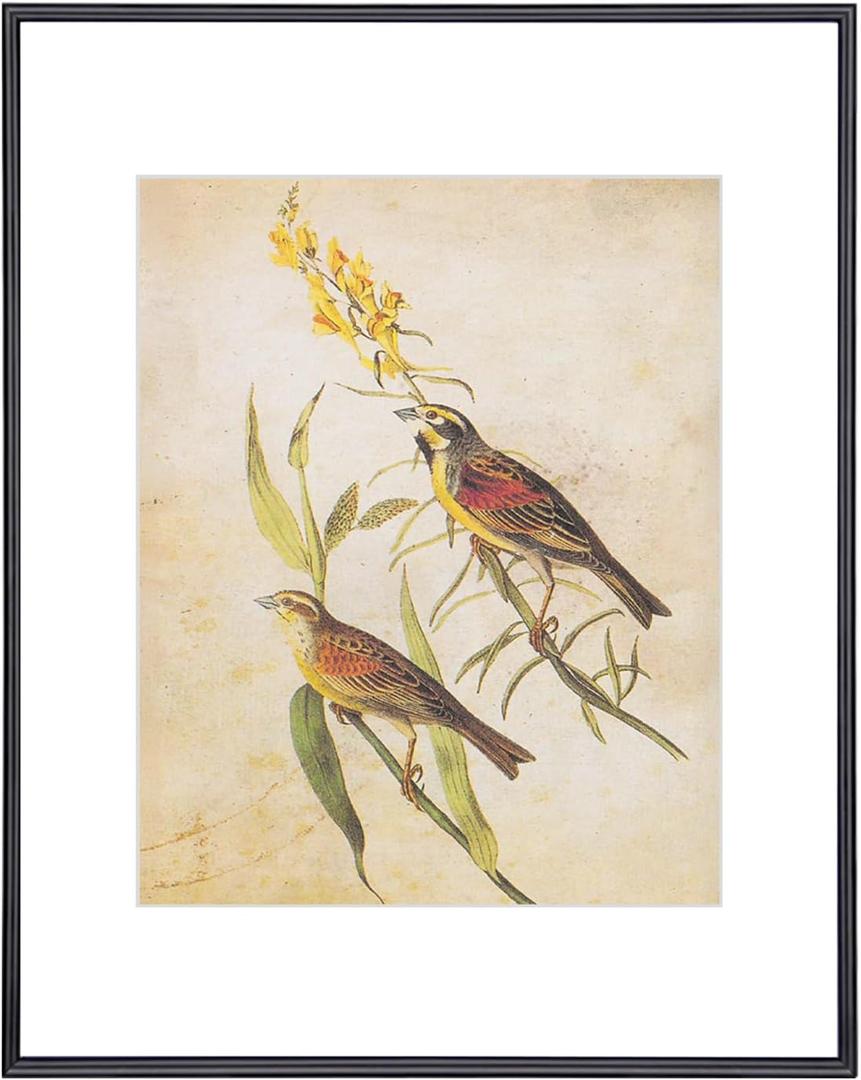 11x14 Picture Frame, Black Modern Aluminum Metal Photo Frame with HD Glass, Fits 8x10 with Mat or 11 x 14 without Mat, Vertical and Horizontal Wall Mounting, 1 Pack