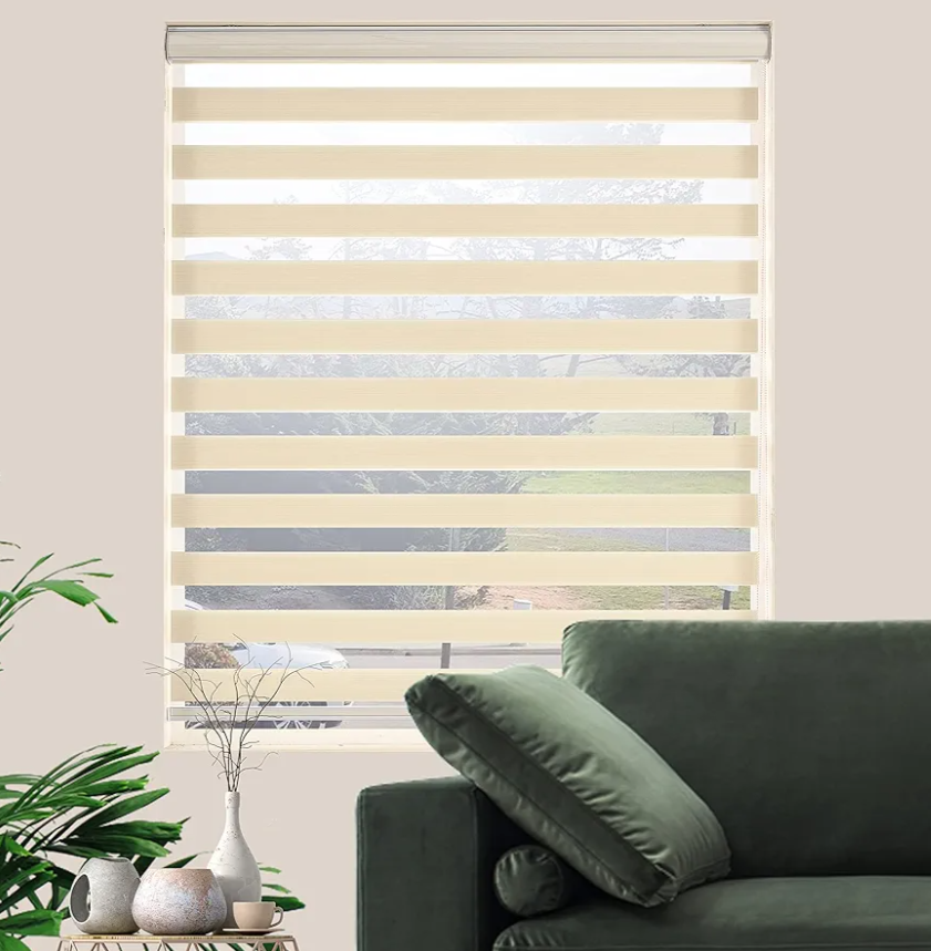 Blinds for Windows Dual Layer Zebra Roller Shades Light Filtering Sheer Window Treatments Privacy Light Control for Day and Night(W41 x H72(Inch), Cream)