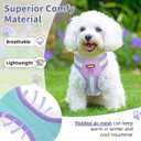 No Pull Dog Harness and Leash Set,Adjustable Dog Vest Harness for Small Medium Large Size Dogs,Breathable and Soft Escape-Proof Puppy Harness with 2 Buckles (Purple)