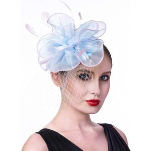SAFERIN Fascinators Hat Flower Mesh Ribbons Feathers on a Headband and a Clip Tea Party Headwear for Girls and Women