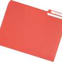 Blue Summit Supplies 30 Gem Tone Plastic File Folders, 1/3 Cut Tab, Letter Size, Assorted Colors, Great for Organizing and Easy File Storage, 30 Pack