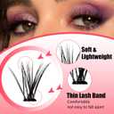 Individual Lashes Kit