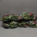 Dolicer 4Pcs 26Ft Artificial Eucalyptus Garlands with Flowers - 8 Roses, Faux Floral Greenery Garlands Fake Flowers Vines for Wedding Table Centerpieces Arch Party Ceremony Backdrop Decor (Red)