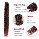 Passion Twist Hair - 8 Packs 24 Inch Passion Twist Crochet Hair For Women, Crochet Pretwisted Curly Hair Passion Twists Synthetic Braiding Hair Extensions (24 Inch 8 Packs, T350)