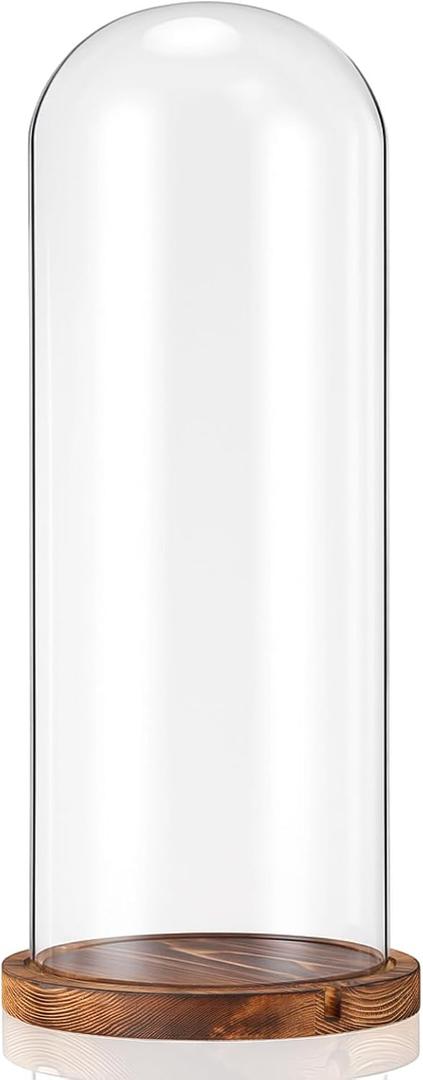 AceOrbit 16 Inch Glass Dome Cloche Display with Wood Base, Clear Tall Glass Dome, the Bell Jar Clear Cloche for Plants, Curios, Keepsakes, Heirlooms
