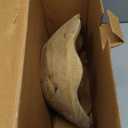 Mela Artisans 12-Inch Mango Wood Scalloped Bowl - Hand-Finished Decorative Serving and Fruit Bowl with Natural Grain for Kitchen Counter, Snacks, Desserts, Bread and Home Decor Centerpiece (Large (Single))