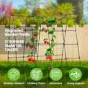 Cucumber Trellis for Climbing Plants, Outdoor Garden Arch 5.3x5.3ft Metal Plant Trellis Arch Support Vegetable Fruit Tomato Vine Peas Beans Frame for Raised Bed, Black