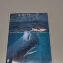 Moby Dick Kindle