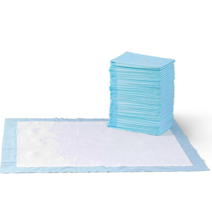 Basics Dog and Puppy Pee Pads, 5Layer LeakProof Super Absorbent, QuickDry Surface, Potty Training, Regular (22x22"), 100 Count, Blue & White