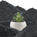 45lb Black Cactus Pea Gravel Rocks,1/4 Inch Pebbles for Indoor Plants, Natural Succulent Rock and River Rocks Decorative for Aquariums, Vases, Outdoor Gardening, Top Dressing for Potted Plants