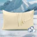Elegear Cooling Pillow Cases for Hot Sleepers, Clean Fabric Silver Infused Cooling Pillowcase Q-Max>0.5, Soft Silky Pillowcases for Hair & Skin, Summer Zipper Pillowcase Cover Set of 2-Queen, Beige