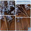 Giegxin 3 Pcs 32 Inch Artificial Spring Blueberry Stems Faux Blueberry Picks Fake Village Blue Berry Branch Floral Arrangement Decor Long Blue Berry Stem for Spring Summer Vase DIY Craft