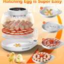 Upgraded Egg Incubators for Hatching Eggs, 12 Egg Incubator with Automatic Egg Turning, Temperature Control & Humidity Display, LED Candler, Incubator for Chicken, Duck, Quail Eggs (Orange)