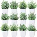 Unittype 12 Pcs Fake Plants Small Artificial Faux Plants for Shelf Mini Plastic Potted Greenery for Home Office Desk Bathroom Bedroom Indoor Decor (Gray) (Grey)