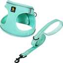BELLA & PAL Dog Harness and Leash Set, Step-in Puppy Harness, Breathable Air Mesh with Reflective Strips, No Pull Vest for Puppies/Extra Small/Small Dogs, Mint, M